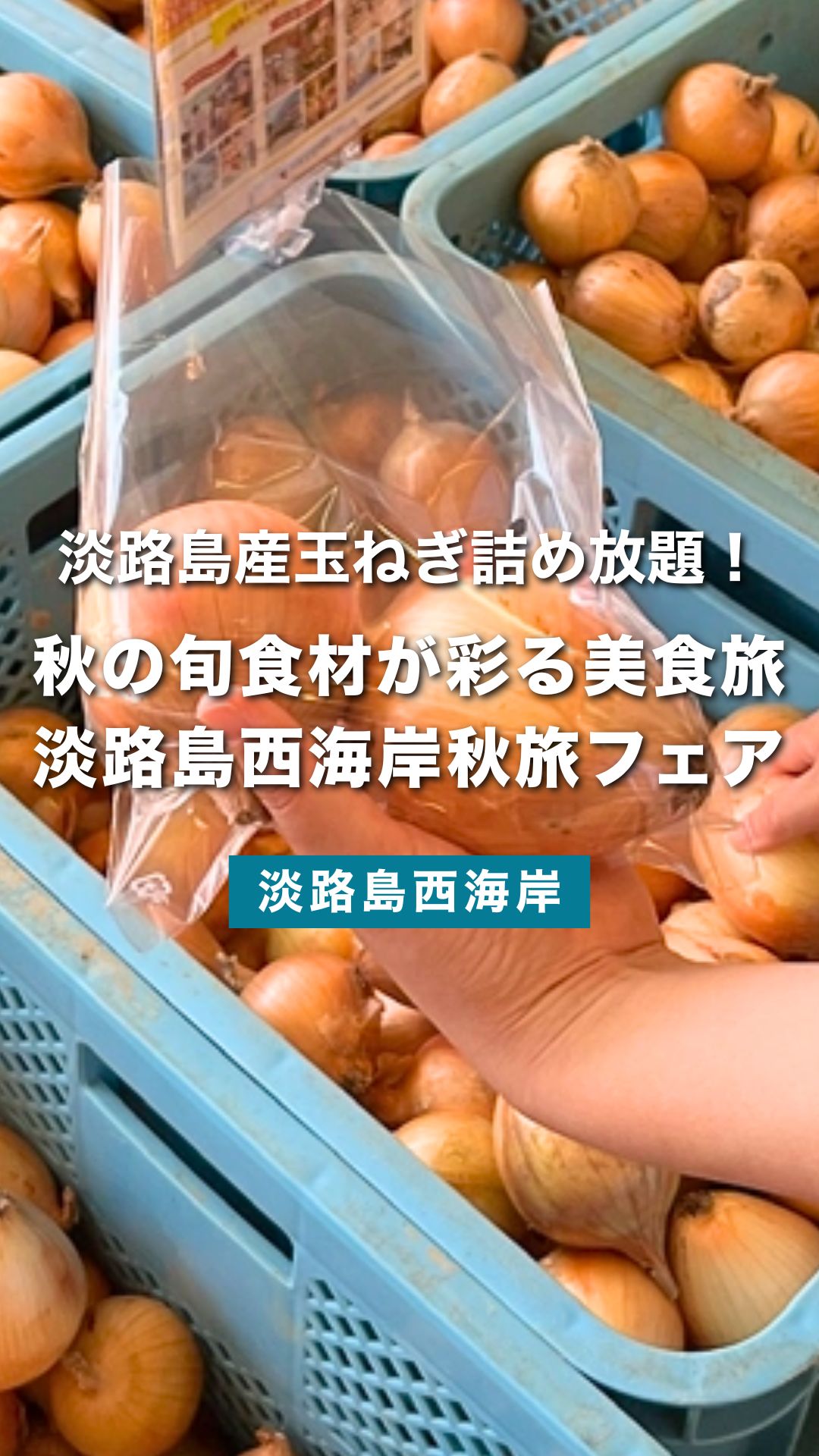 淡路島産玉ねぎ詰め放題プレゼント 秋の味覚を楽しむ淡路島西海岸秋旅フェア