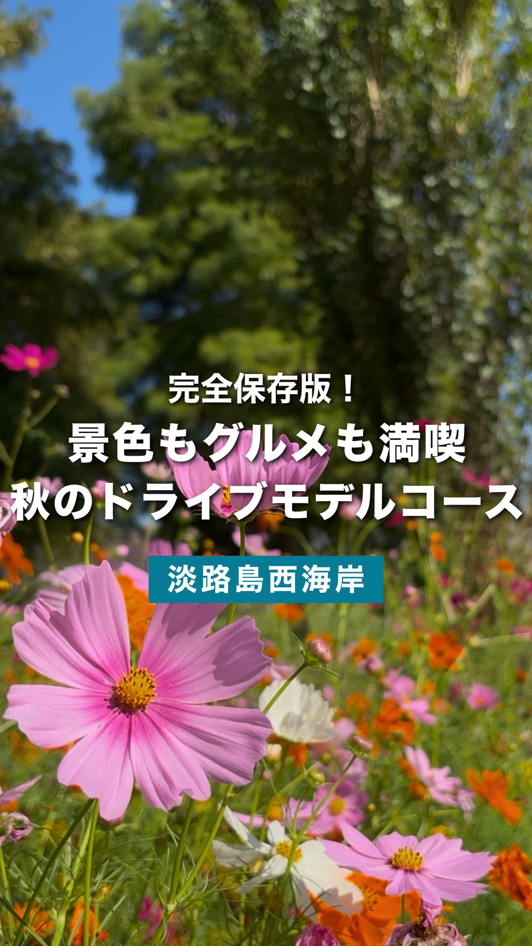 淡路島秋ドライブで巡る絶景＆グルメ日帰りモデルコース