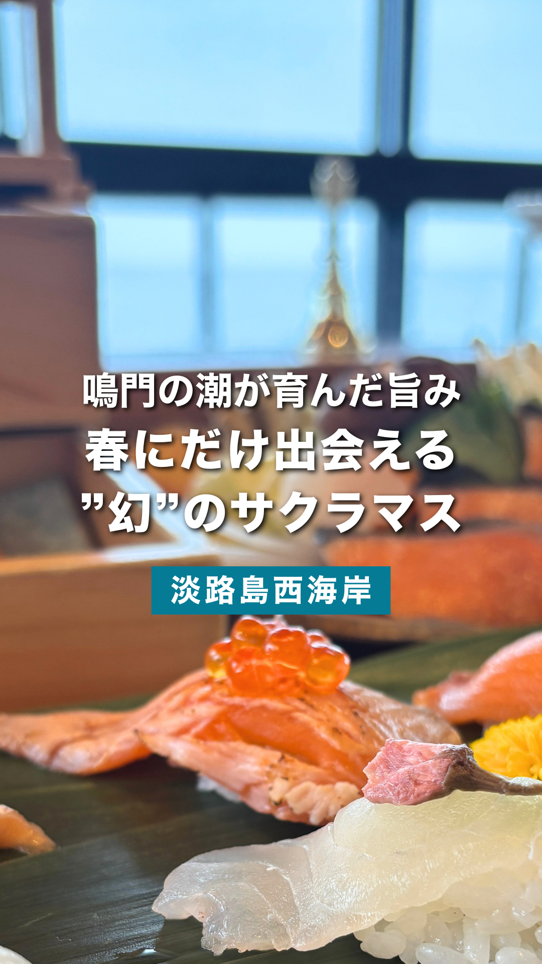 春の淡路島でしか出会えない、幻の魚サクラマス | 青海波 青の舎