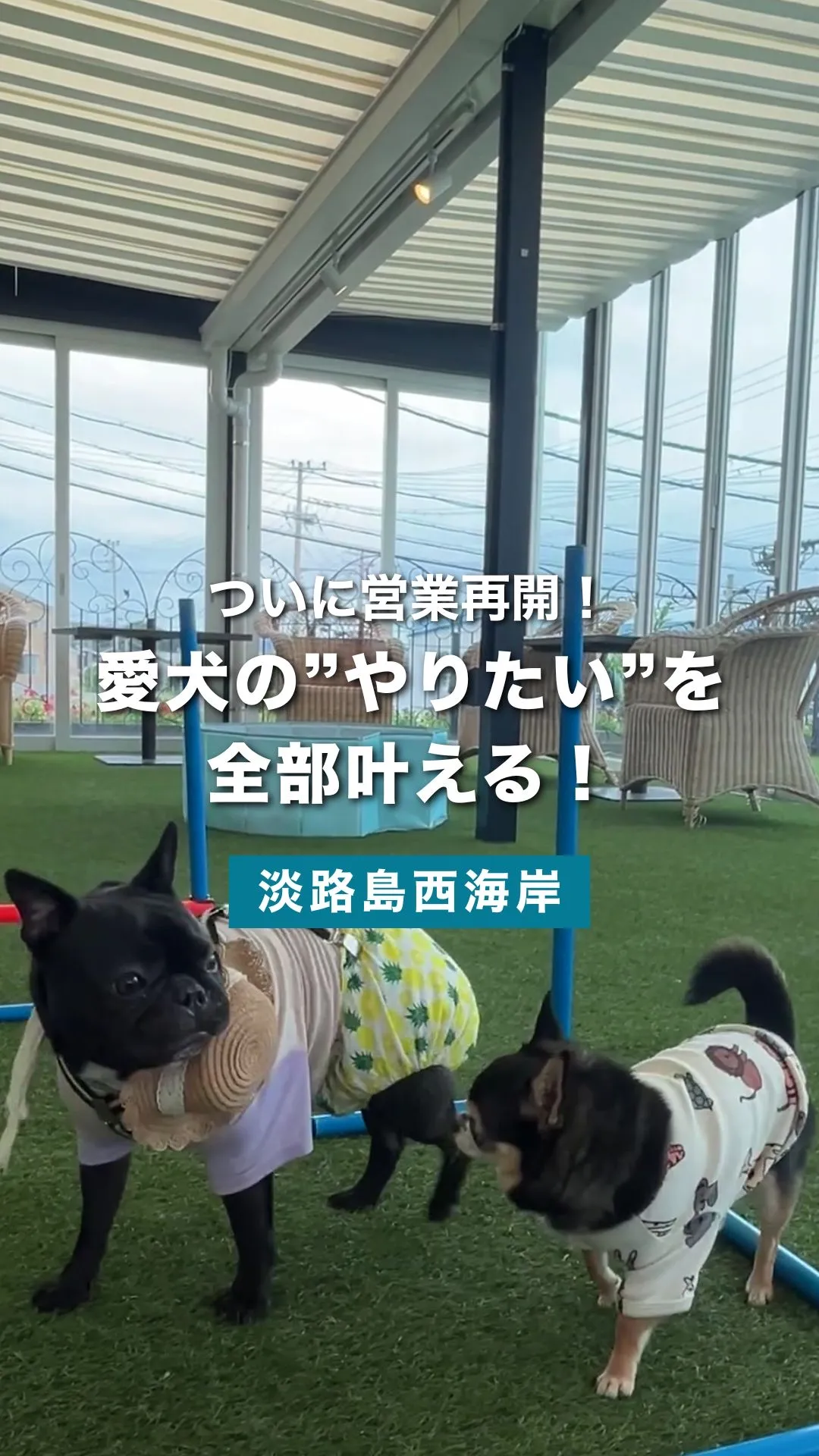 ついに営業再開 愛犬と淡路島を満喫できるドッグスペース　｜ miele the garden